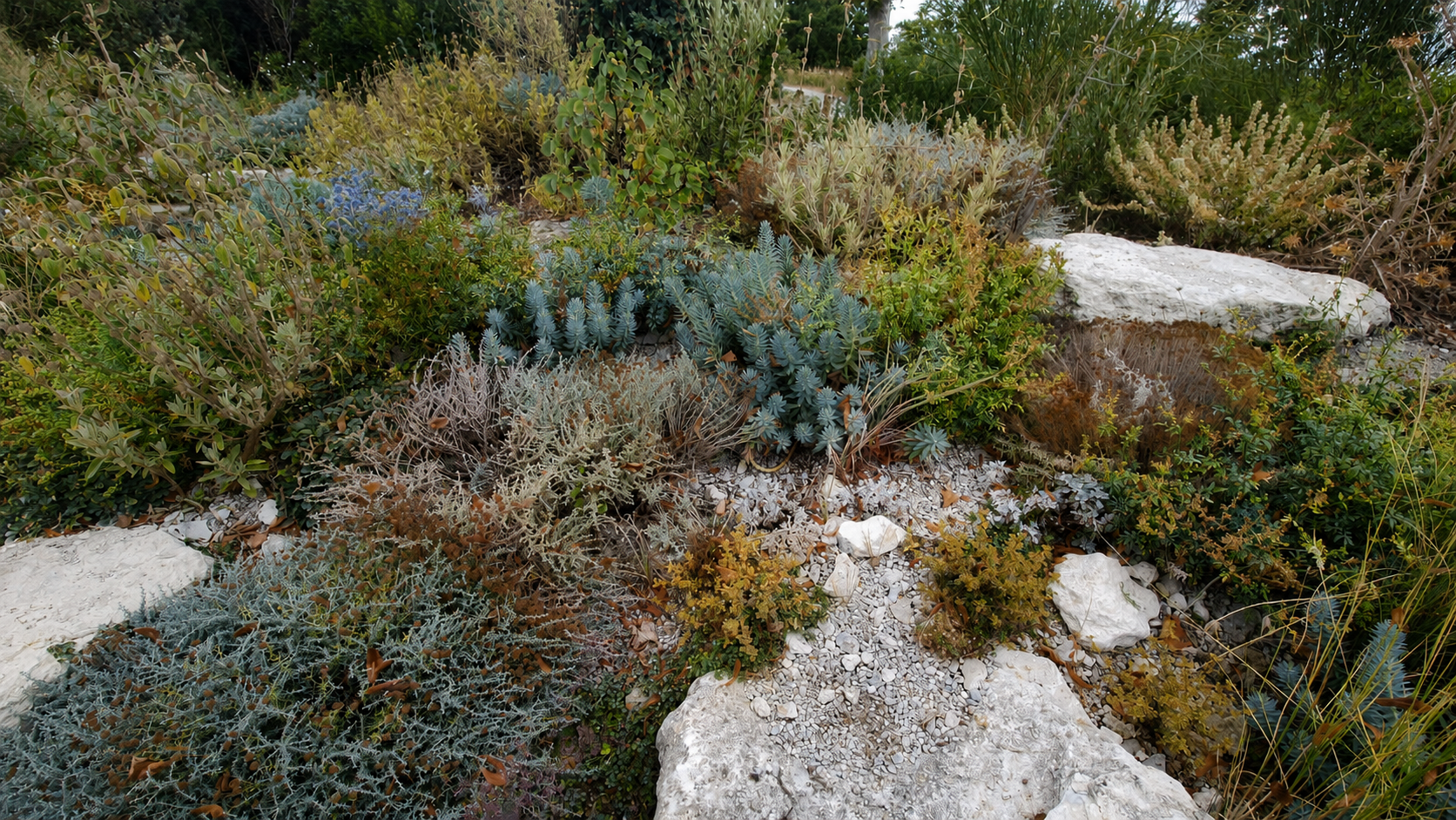 The terraced Delos dry garden at Sissinghurst